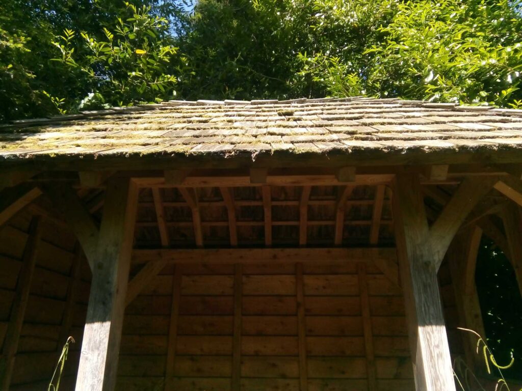 Douglas fir framed house at Penjerrick